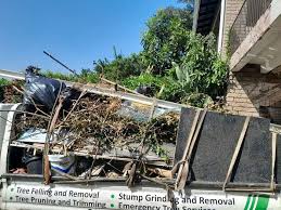 Retail Junk Removal in Lomita, CA